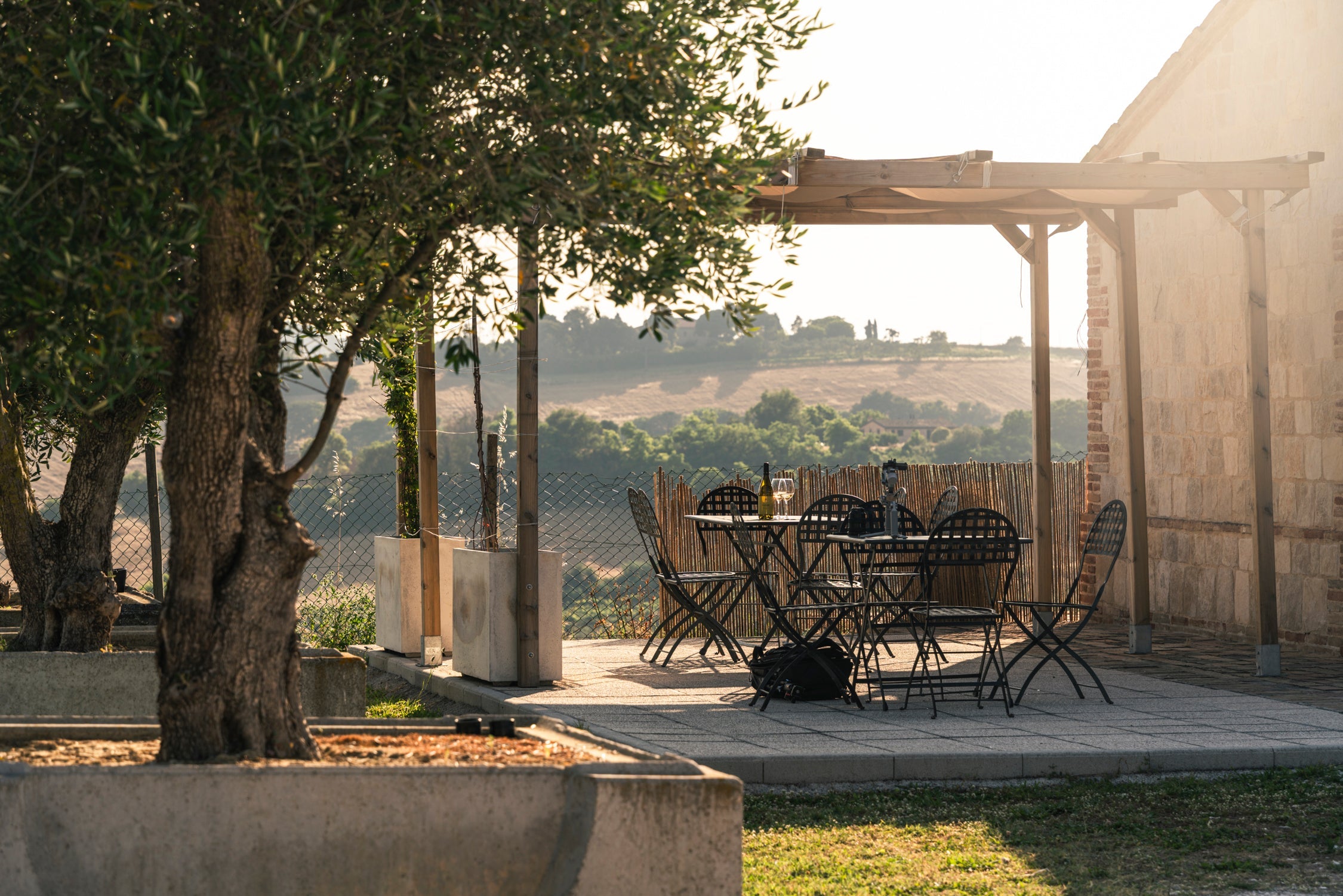 Cosa c'è Davvero nella Tua Bottiglia? La Scienza Dietro l'Eccellenza del Nostro Olio Extravergine