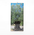 Organic Extra Virgin Olive Oil - 5l